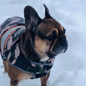 Meet your Posher, Leah